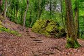 15 Mullerthal trail